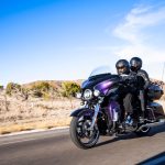 CVO Limited del 2021 con camma Wood 22XE